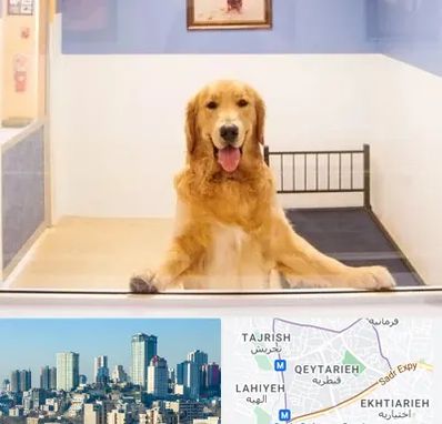 پانسیون حیوان خانگی در قیطریه 