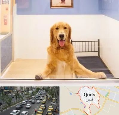 پانسیون حیوان خانگی در شهر قدس