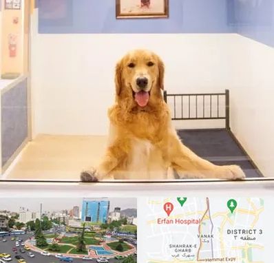 پانسیون حیوان خانگی در ونک 