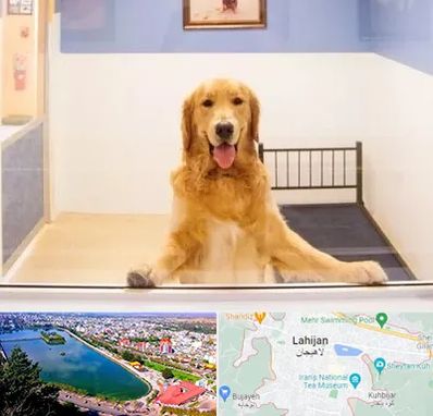 پانسیون حیوان خانگی در لاهیجان