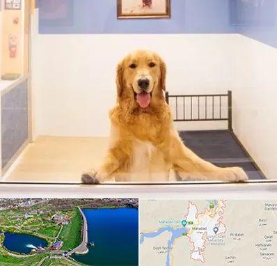 پانسیون حیوان خانگی در مهاباد