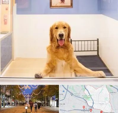 پانسیون حیوان خانگی در ولیعصر ارومیه