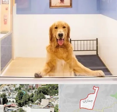 پانسیون حیوان خانگی در جماران
