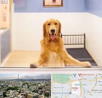 پانسیون حیوان خانگی در گیشا 