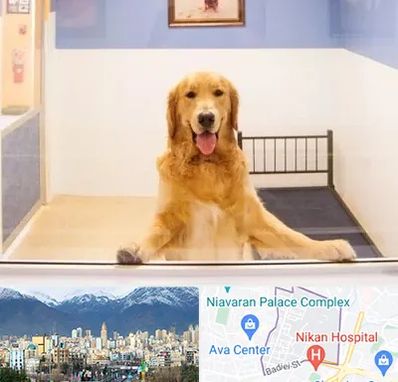 پانسیون حیوان خانگی در آجودانیه 