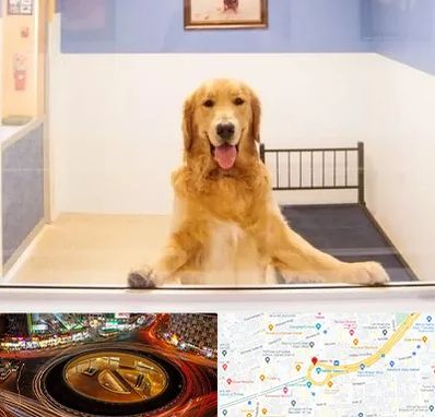 پانسیون حیوان خانگی در میدان ولیعصر 