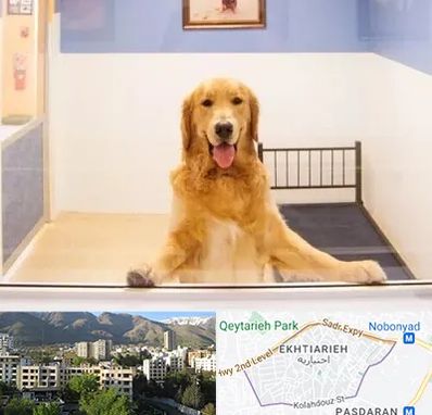 پانسیون حیوان خانگی در اختیاریه 