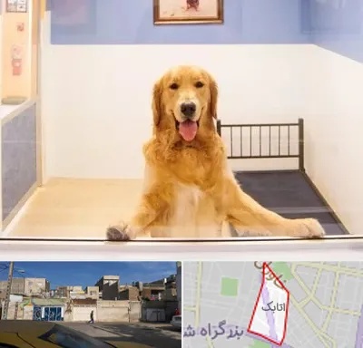 پانسیون حیوان خانگی در اتابک