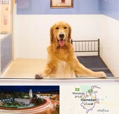پانسیون حیوان خانگی در همدان