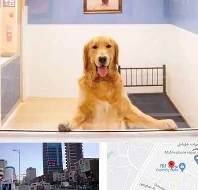 پانسیون حیوان خانگی در چهارراه طالقانی کرج