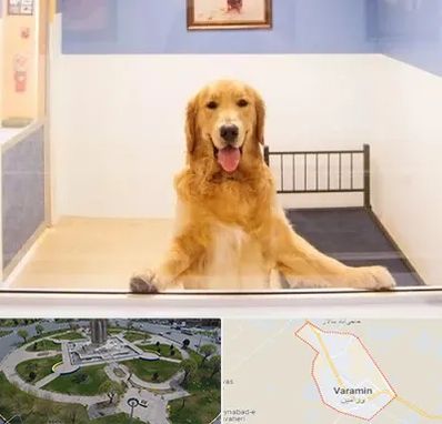پانسیون حیوان خانگی در ورامین