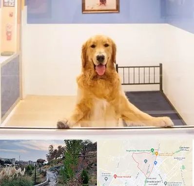 پانسیون حیوان خانگی در باغستان کرج