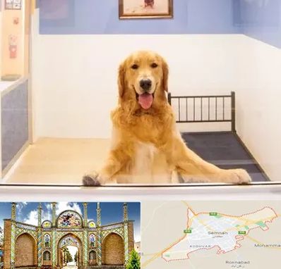 پانسیون حیوان خانگی در سمنان