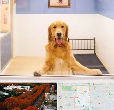 پانسیون حیوان خانگی در منطقه 6 تهران 