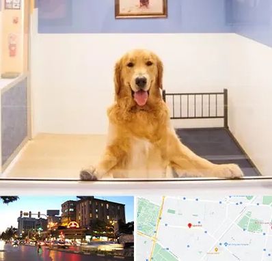 پانسیون حیوان خانگی در بلوار سجاد مشهد