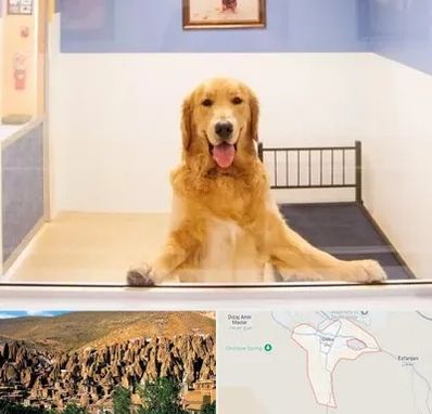 پانسیون حیوان خانگی در اسکو