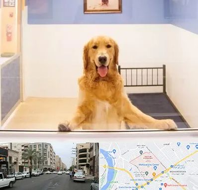 پانسیون حیوان خانگی در زیتون کارمندی اهواز