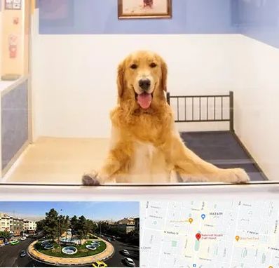 پانسیون حیوان خانگی در هفت حوض 