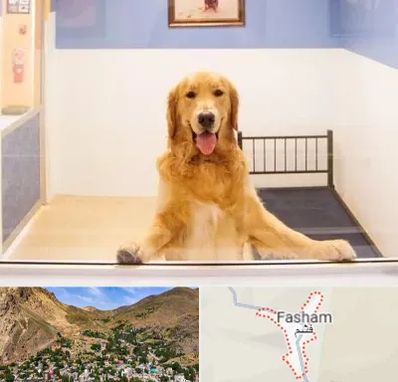 پانسیون حیوان خانگی در فشم