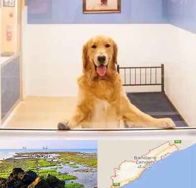 پانسیون حیوان خانگی در بندرلنگه