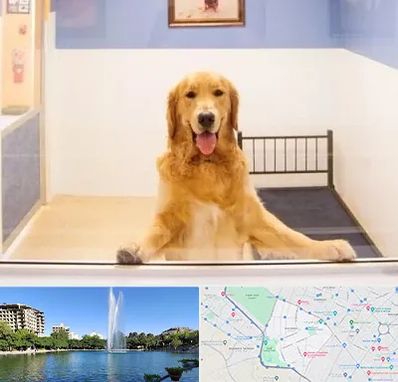 پانسیون حیوان خانگی در کوهسنگی مشهد