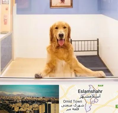 پانسیون حیوان خانگی در اسلامشهر