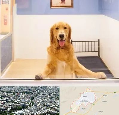 پانسیون حیوان خانگی در شاهرود