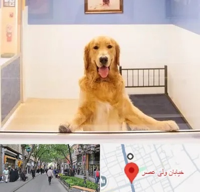 پانسیون حیوان خانگی در ولیعصر شهریار
