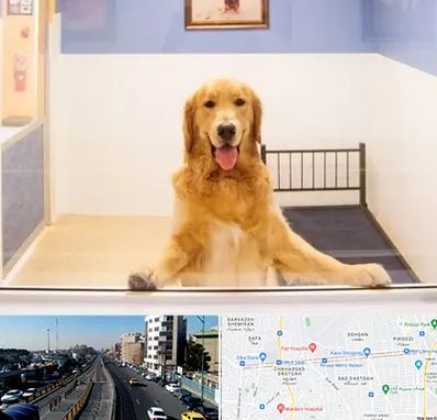 پانسیون حیوان خانگی در پیروزی 