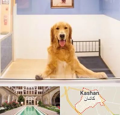 پانسیون حیوان خانگی در کاشان