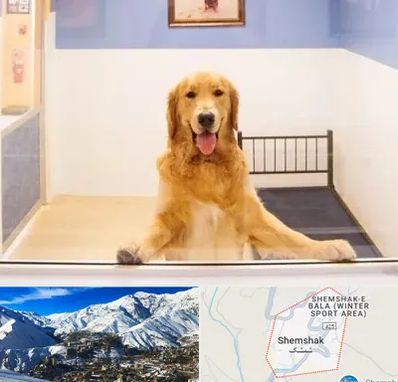 پانسیون حیوان خانگی در شمشک