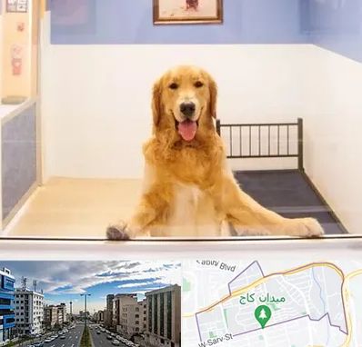 پانسیون حیوان خانگی در سعادت آباد 