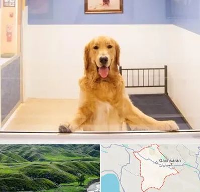 پانسیون حیوان خانگی در گچساران