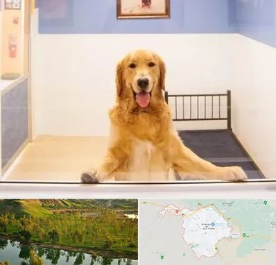 پانسیون حیوان خانگی در بهبهان