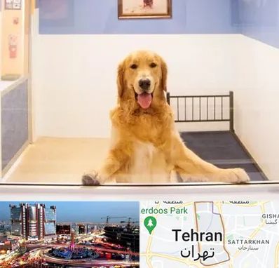 پانسیون حیوان خانگی در صادقیه 