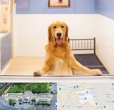 پانسیون حیوان خانگی در نسیم شهر