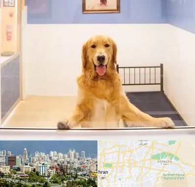پانسیون حیوان خانگی در شرق تهران 