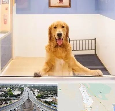 پانسیون حیوان خانگی در اندیمشک