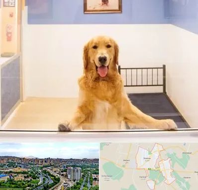 پانسیون حیوان خانگی در شهریار