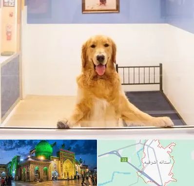 پانسیون حیوان خانگی در آستانه اشرفیه