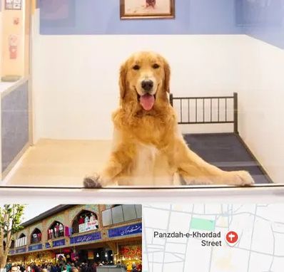 پانسیون حیوان خانگی در 15 خرداد