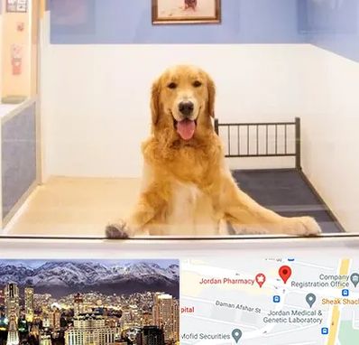 پانسیون حیوان خانگی در جردن 