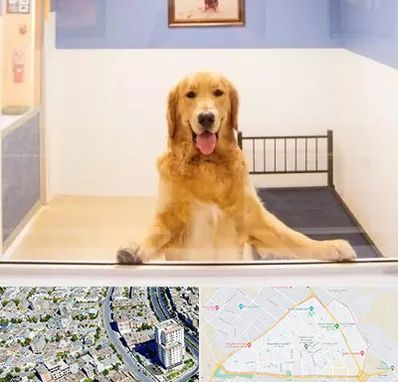 پانسیون حیوان خانگی در قاسم آباد مشهد