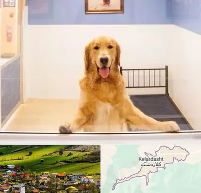 پانسیون حیوان خانگی در کلاردشت