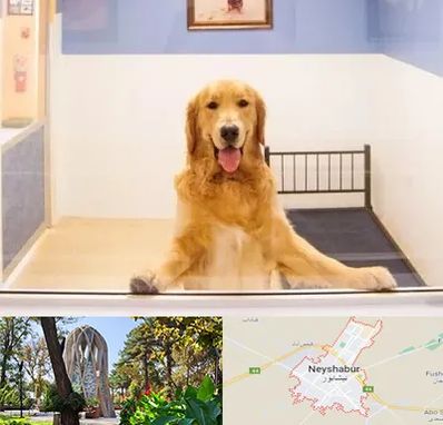 پانسیون حیوان خانگی در نیشابور