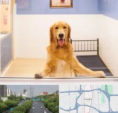 پانسیون حیوان خانگی در توانیر