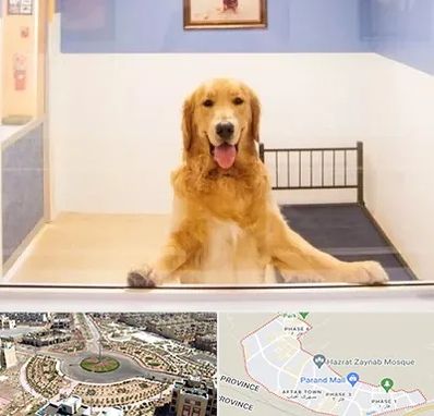 پانسیون حیوان خانگی در پرند