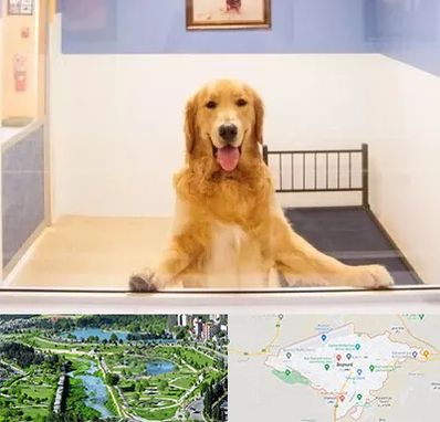 پانسیون حیوان خانگی در بجنورد