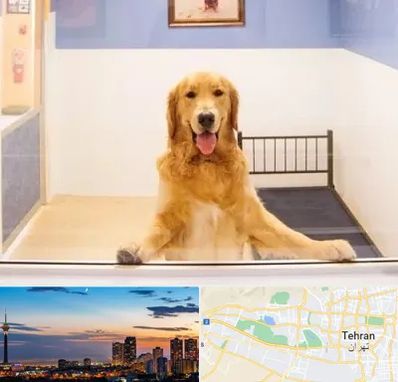 پانسیون حیوان خانگی در غرب تهران 