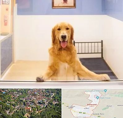 پانسیون حیوان خانگی در دماوند